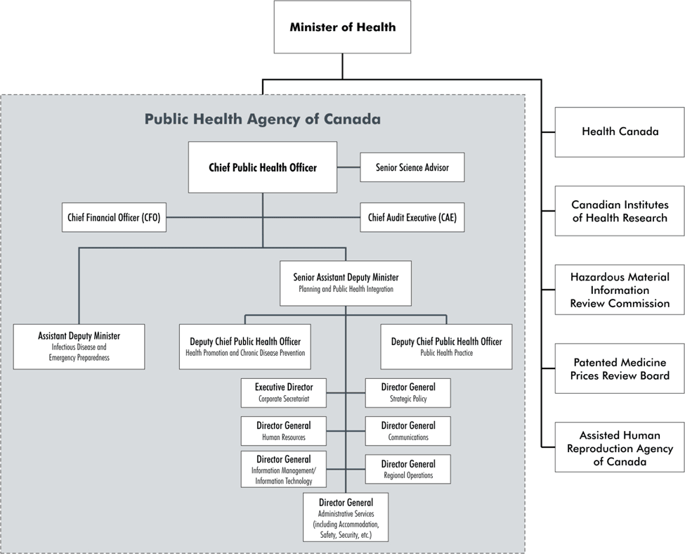 The Agency's Structure