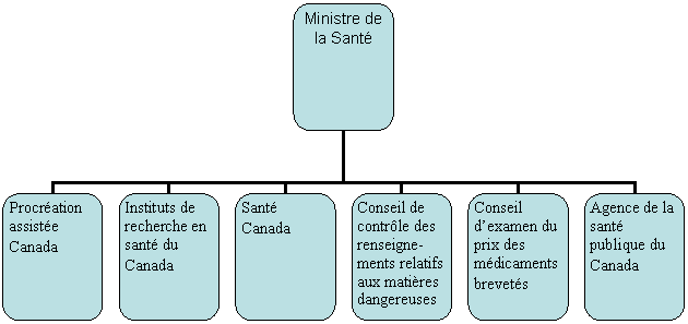 Organization Chart