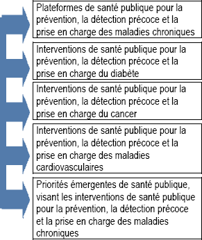 Activité de programme – Prévention et contrôle des maladies chroniques