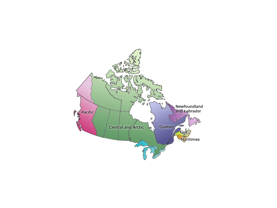 The Department's Regions