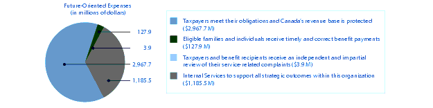 Future-Oriented Expenses