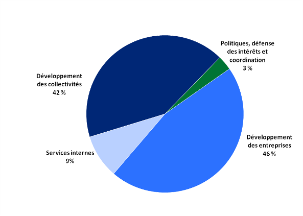 Ce graphique circulaire présente les dépenses prévues pour 2010-2011 par activité de programme