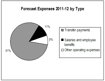This pie-chart graphically distributes the forecasted expenses over three categories. The largest category, or 81% of all the forecasted expenses, is identified as Transfer payments. Salaries and employee benefits account for 11% of all the forecasted expenses, while other operating expenses account for 8% of the total.