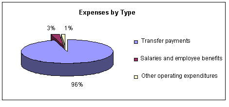 Expenses by Type