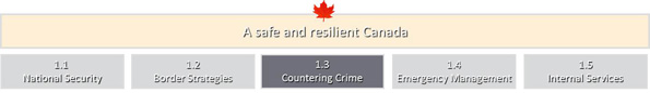Program Activity: Countering Crime