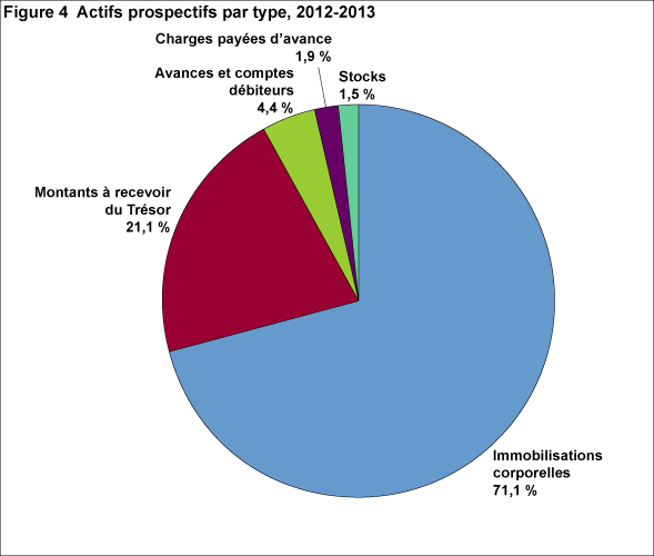 Figure 4 : Actifs prospectifs par type, 2012-2013