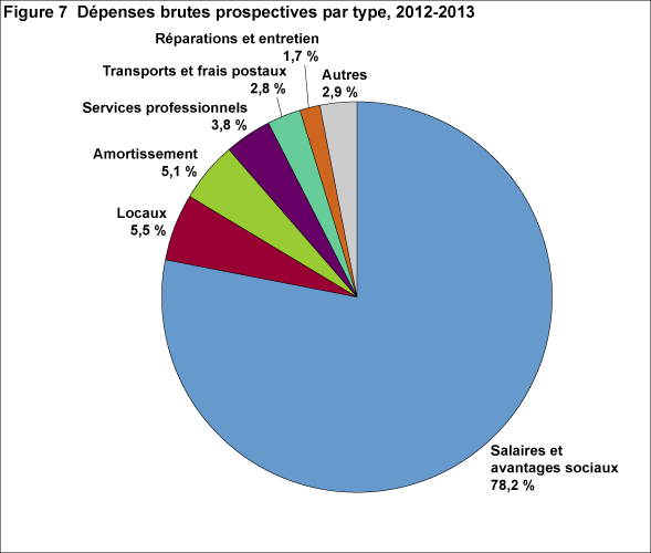 Figure 7 : Dépenses brutes prospectives par type, 2012-2013